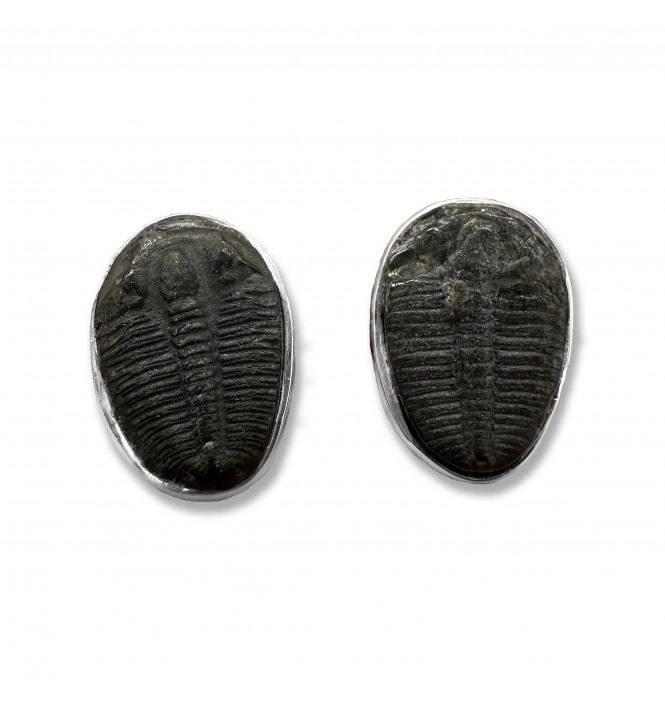 Sterling Silver Trilobite Stud Earrings (SKU FOSSJ-093)