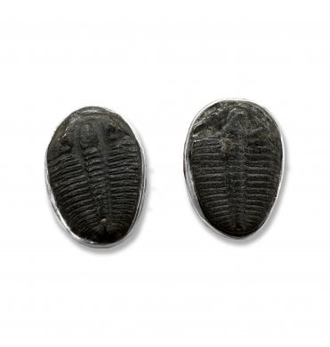 Sterling Silver Trilobite Stud Earrings (SKU FOSSJ-093)