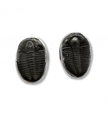 Sterling Silver Trilobite Stud Earrings (SKU FOSSJ-094)
